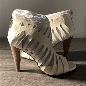 Alicante Sheep Heals